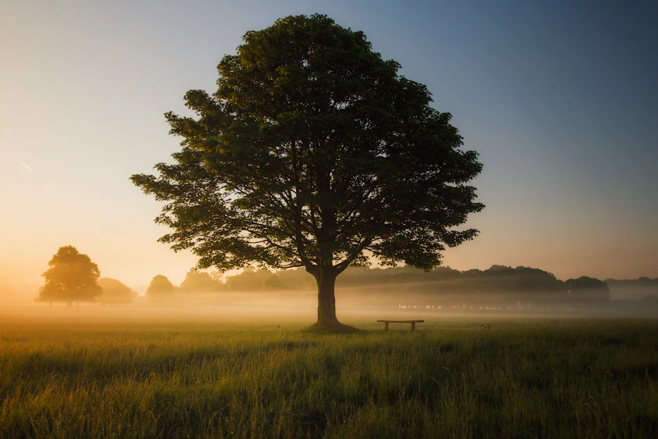 Golden temple chedi in Chiang Mai, Thailand