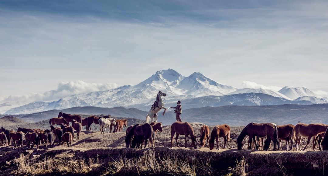 Ecoregion photo spot Mount Erciyes Kayseri