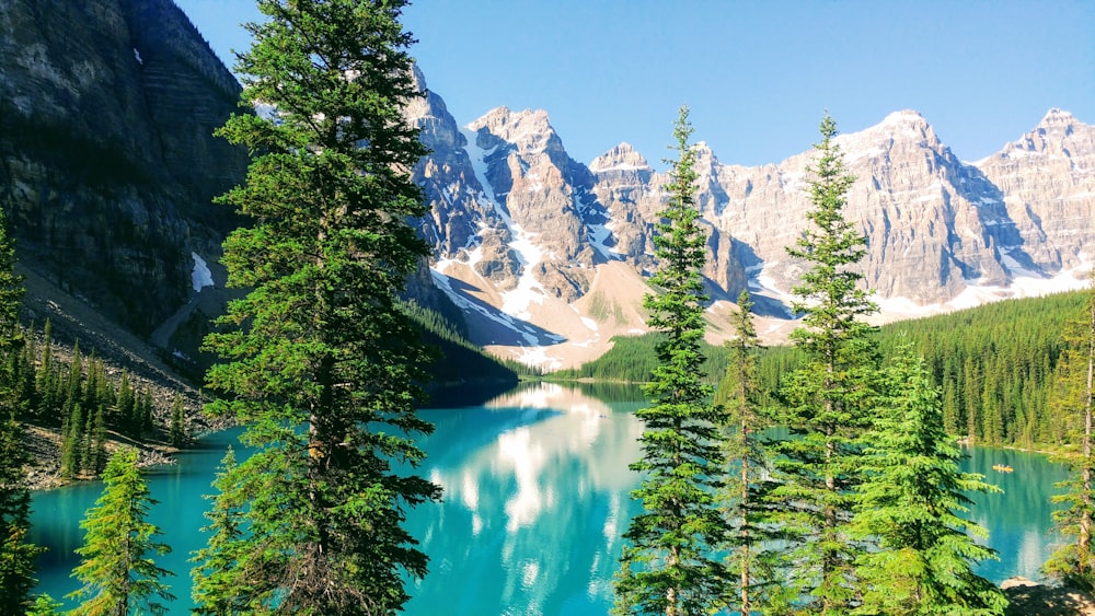 mountain near boy of water and forest under blue sky