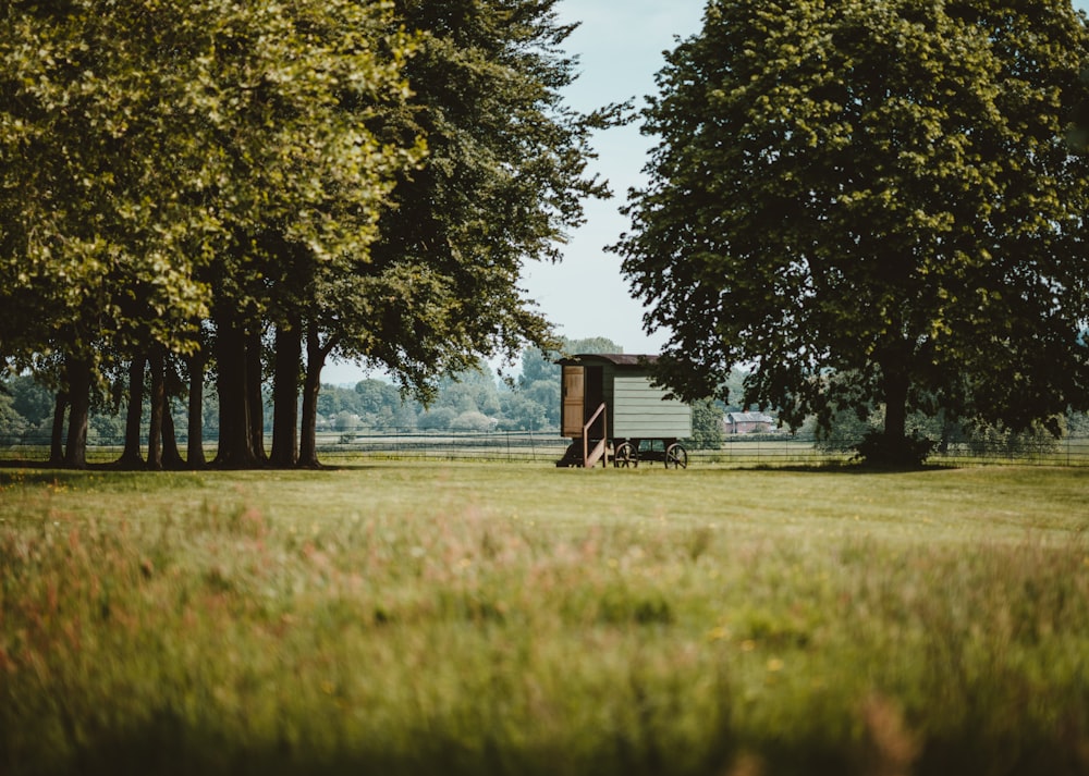 quelques arbres qui sont dans l’herbe