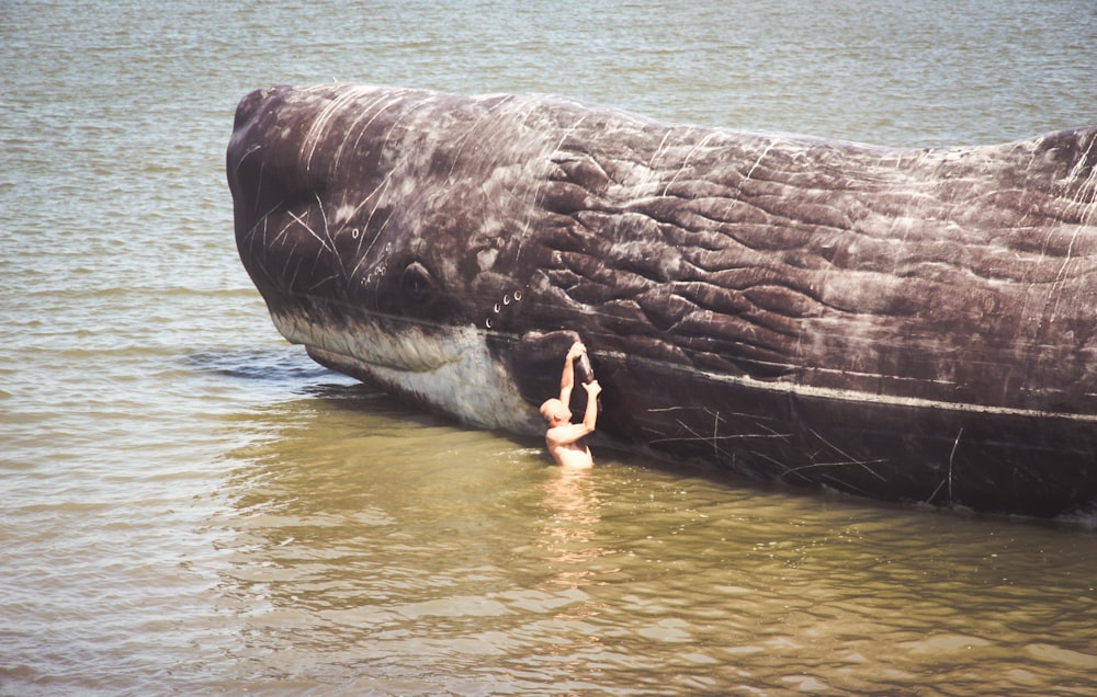 man hanging on to whale