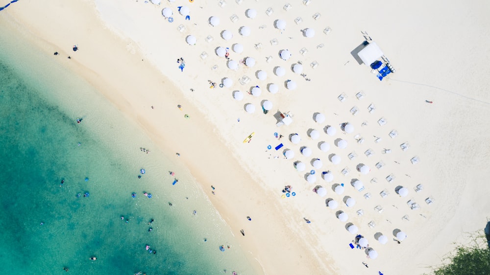 aerial photography of seashore