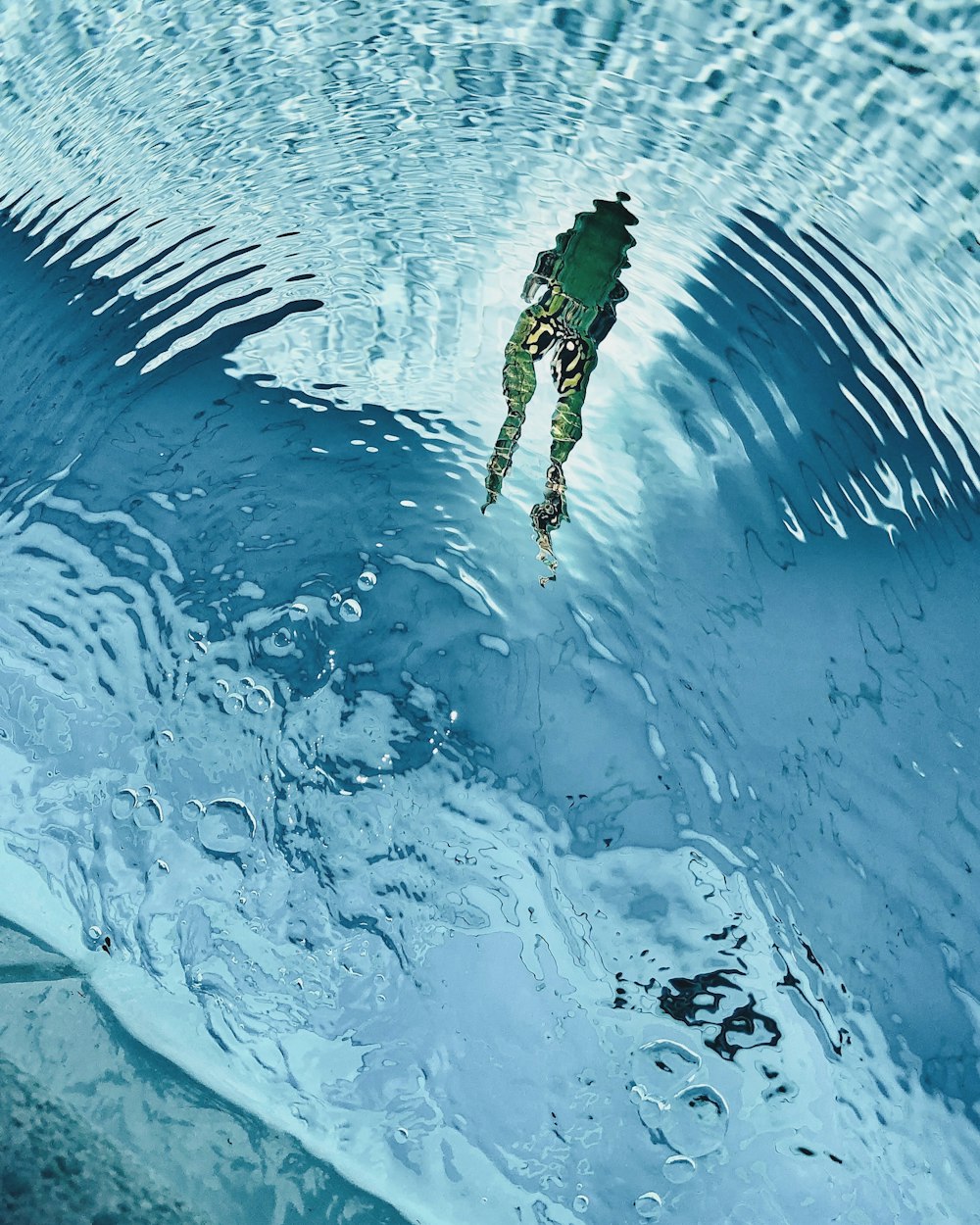 high-angle photography of green frog swimming on clear water