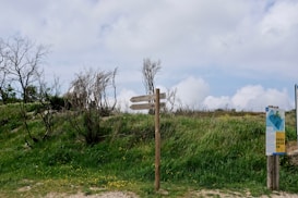 A wooden signpost with directional arrows stands amidst a grassy landscape. The background features some sparse and leafless trees under a light blue sky with fluffy clouds. A map or informational board can also be seen on the right side of the frame.