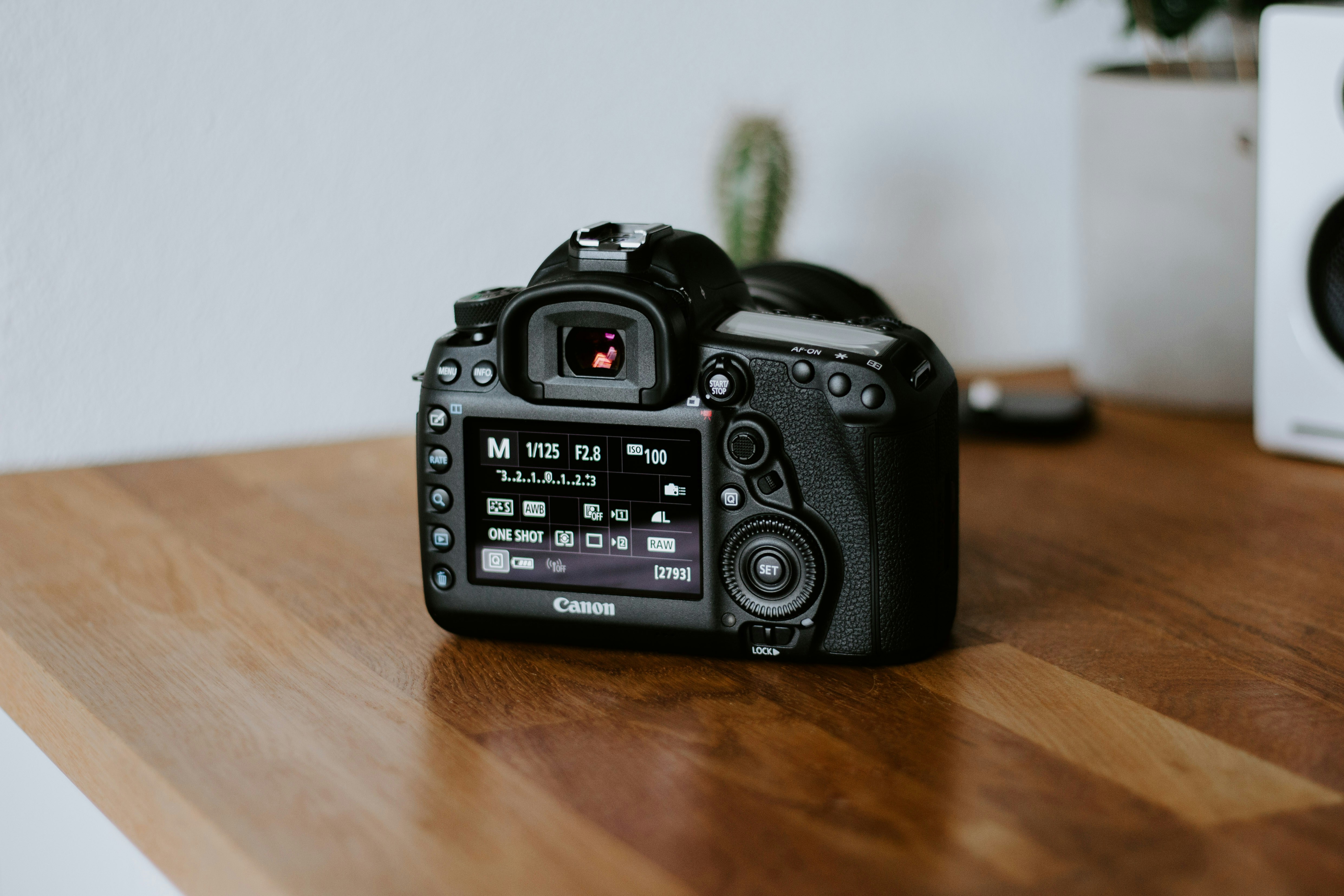 professional headshots