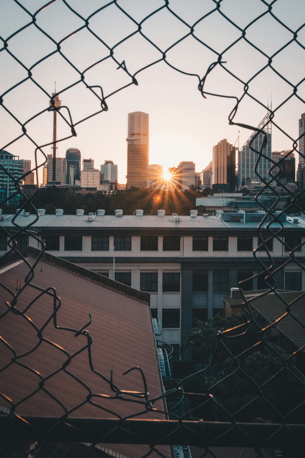 viewing sunset through cyclone fence