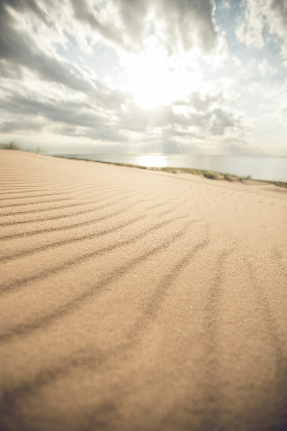 Photographie de paysage de sol brun près d’un plan d’eau