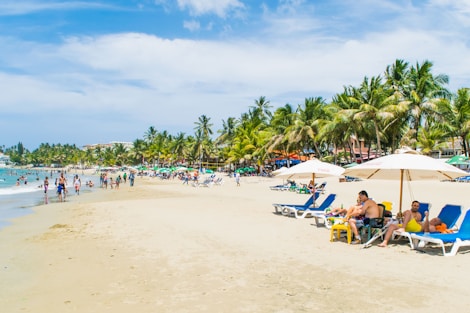 group of people at beach during daytime