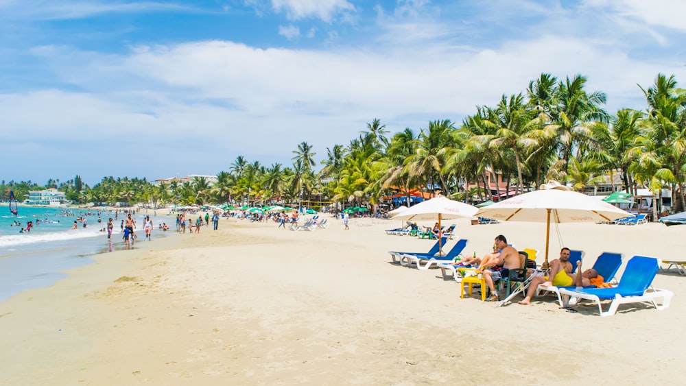 group of people at beach during daytime