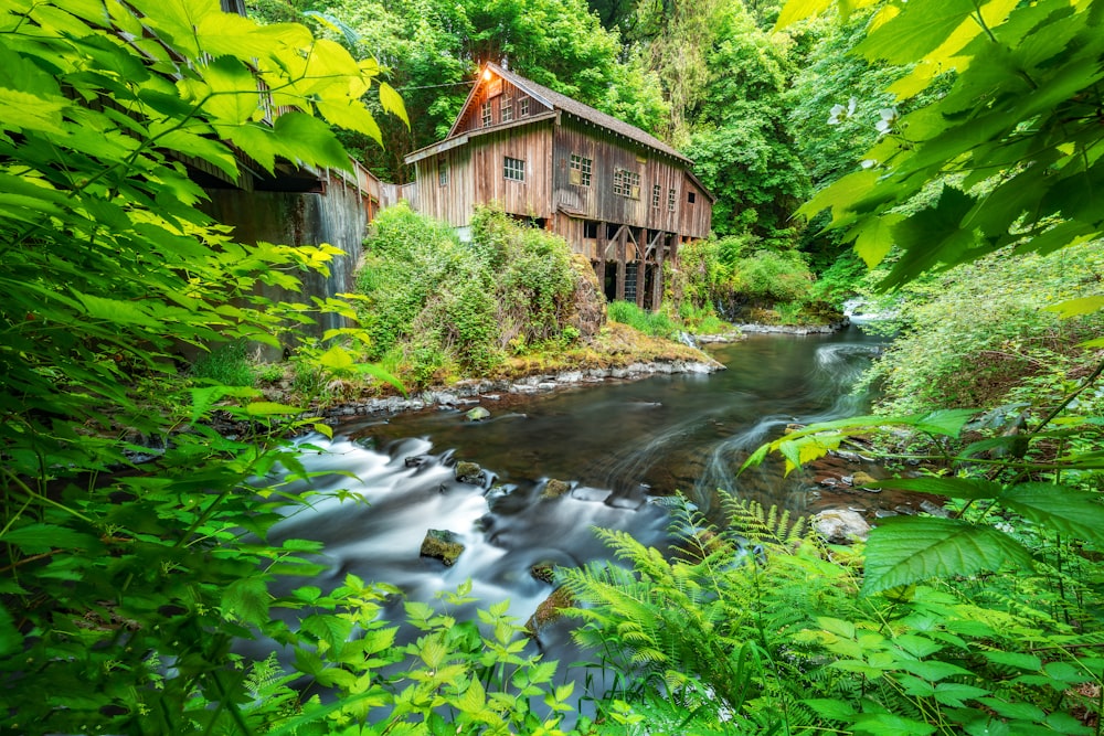 casa de madeira marrom ao lado do corpo de água