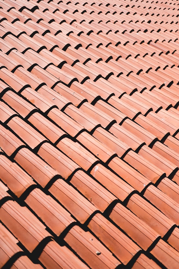 Close-up of terracotta roof tiles