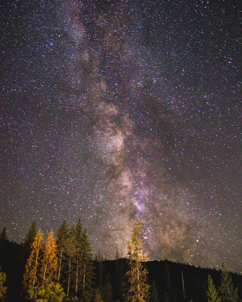 aurora above mountain and trees