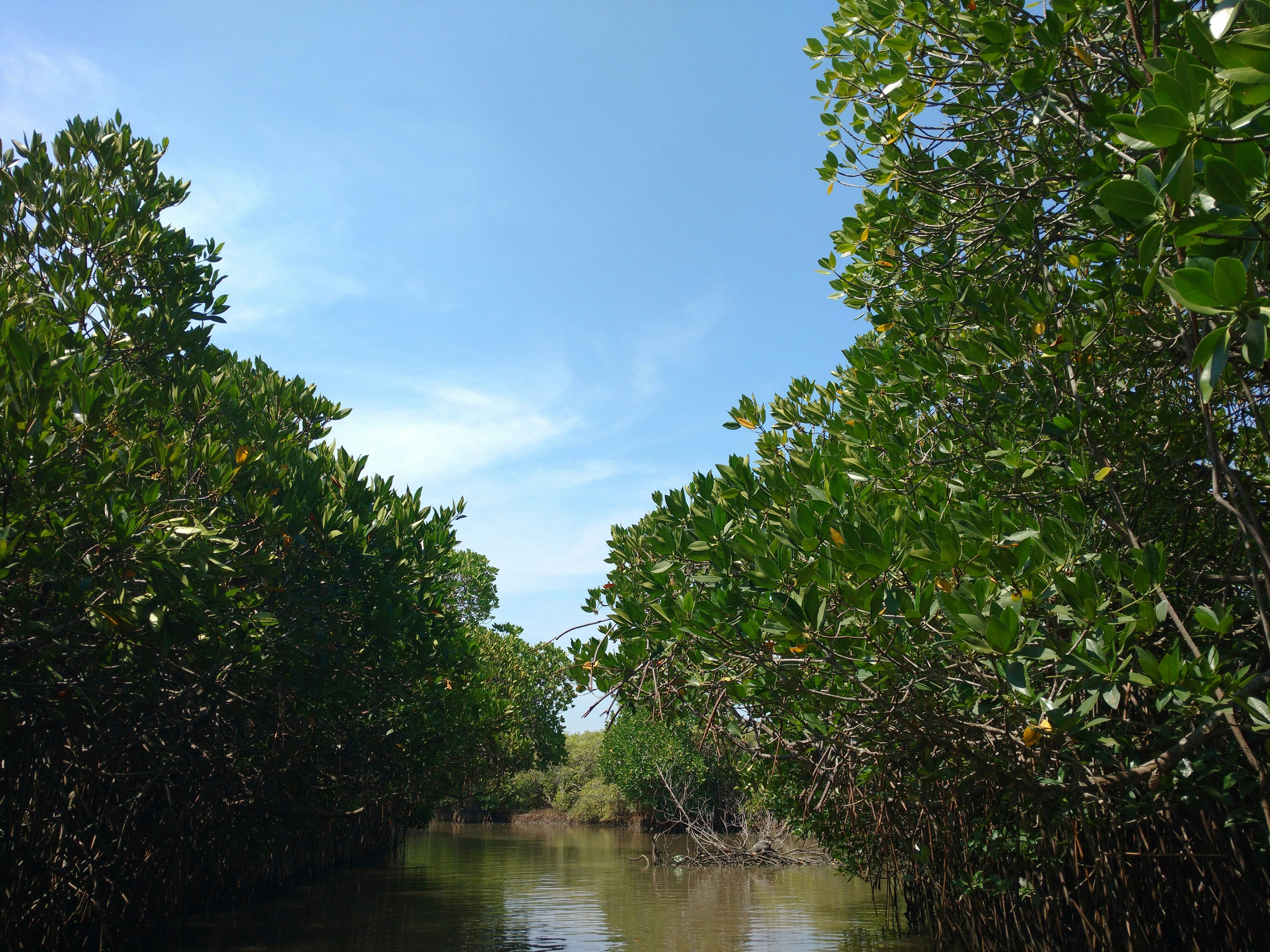 华为桌面与系统桌面，两大生态的差异化竞争与用户体验探索