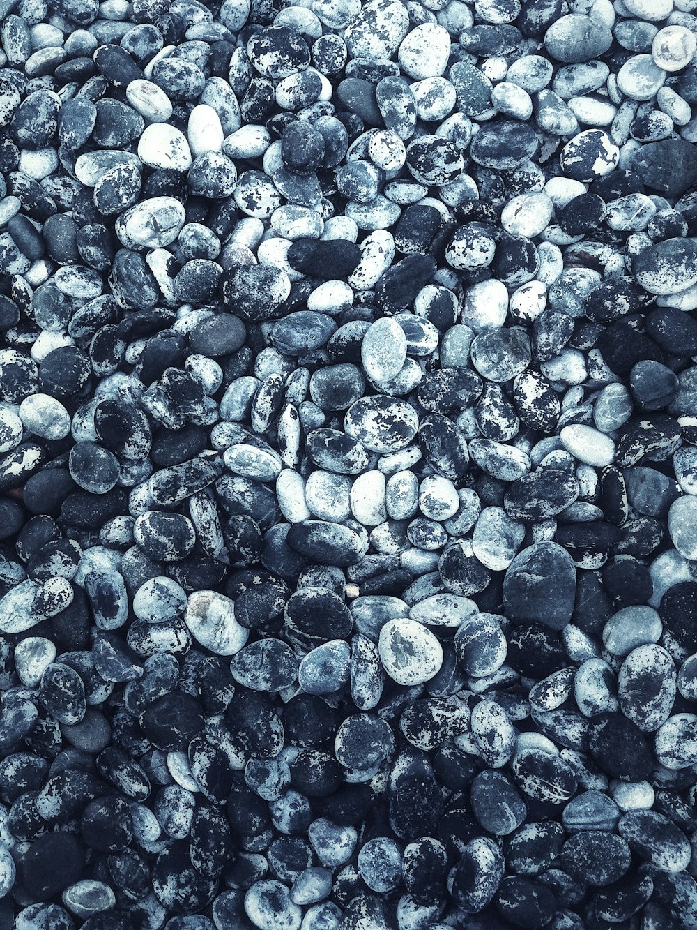 closeup photography of stones