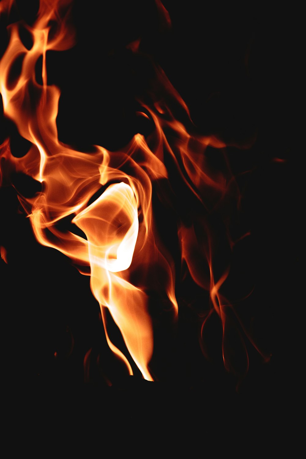 macro photography of flame