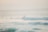 A surfer balances skillfully on a gentle wave in the ocean, with several other individuals either in the water or observing the scene. The atmosphere is calm and serene with soft lighting reflecting off the water.