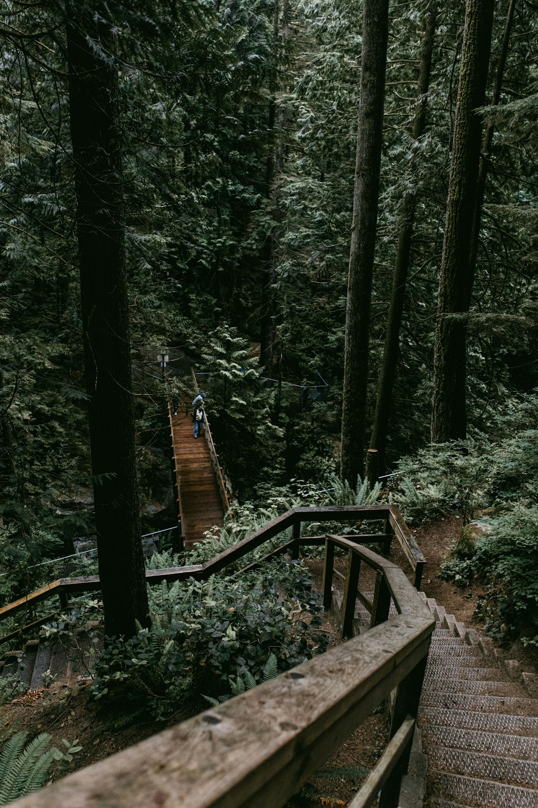 Forest photo spot British Columbia Minnekhada Regional Park