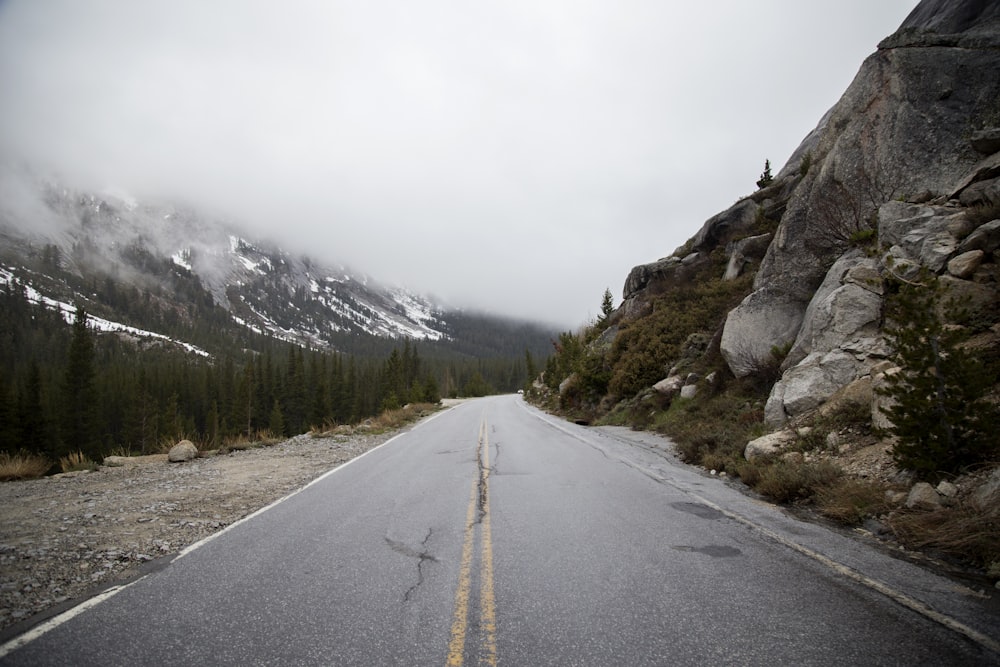 road near forest during cloudy day