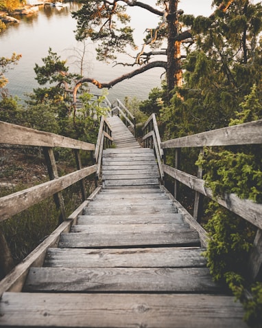 wooden stairs near body of water