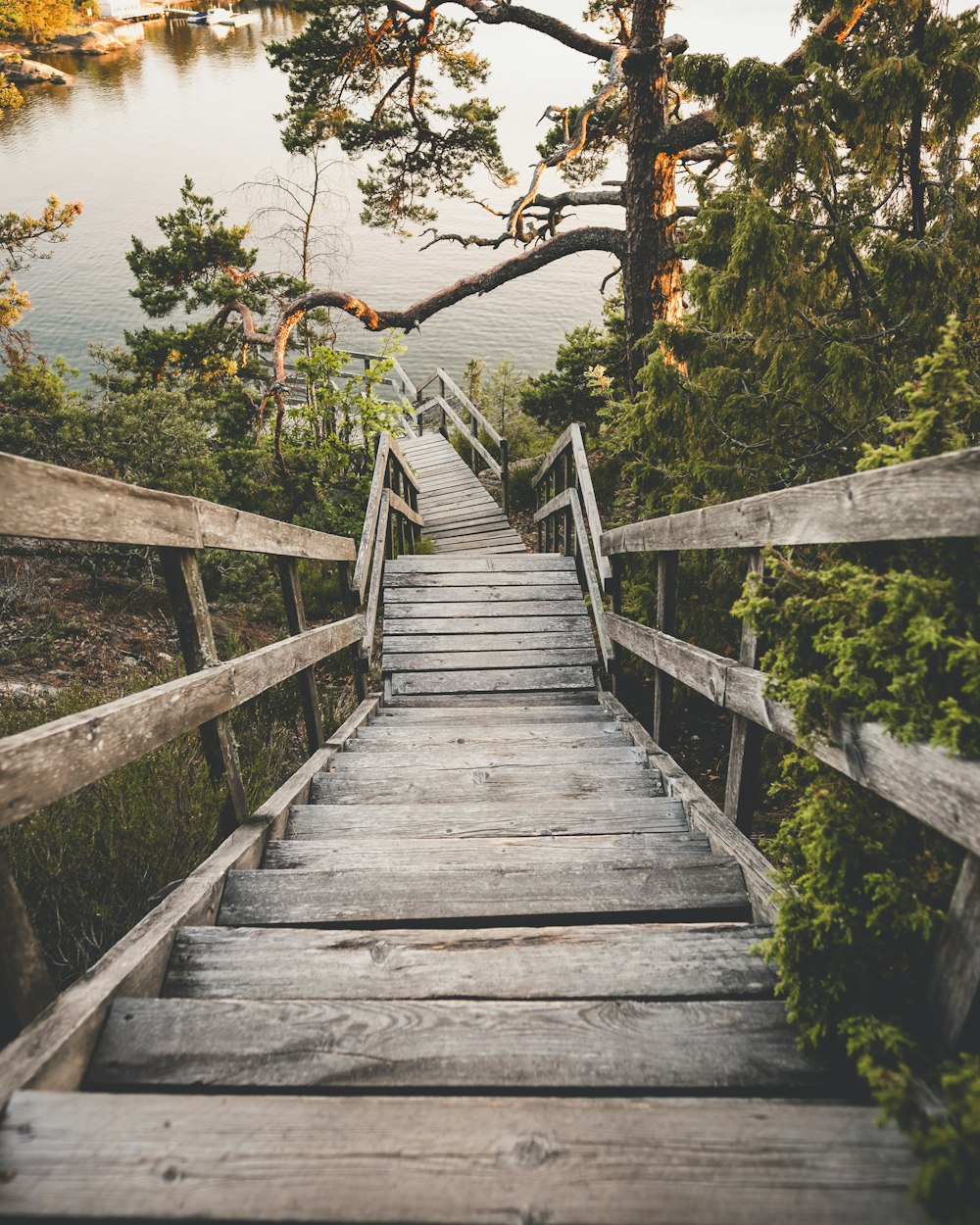 wooden stairs near body of water