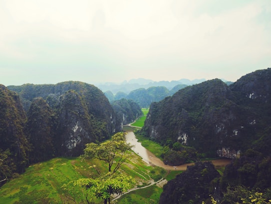 A picturesque landscape featuring lush green hills and a winding river cutting through the valley. The scene is enveloped in a hazy atmosphere, with a clear view of limestone karst formations. In the foreground, foliage adds a touch of vibrant greenery.