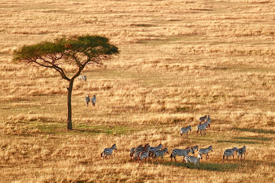 Tanzania