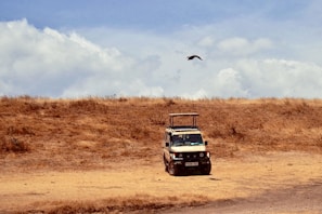 A safari vehicle is parked on a dry, grassy landscape under a partially cloudy sky. A bird is flying overhead, and the terrain is open with sparse, dried grass indicating a savanna environment.