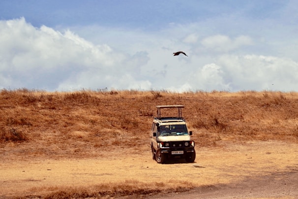 A safari vehicle is parked on a dry, grassy landscape under a partially cloudy sky. A bird is flying overhead, and the terrain is open with sparse, dried grass indicating a savanna environment.