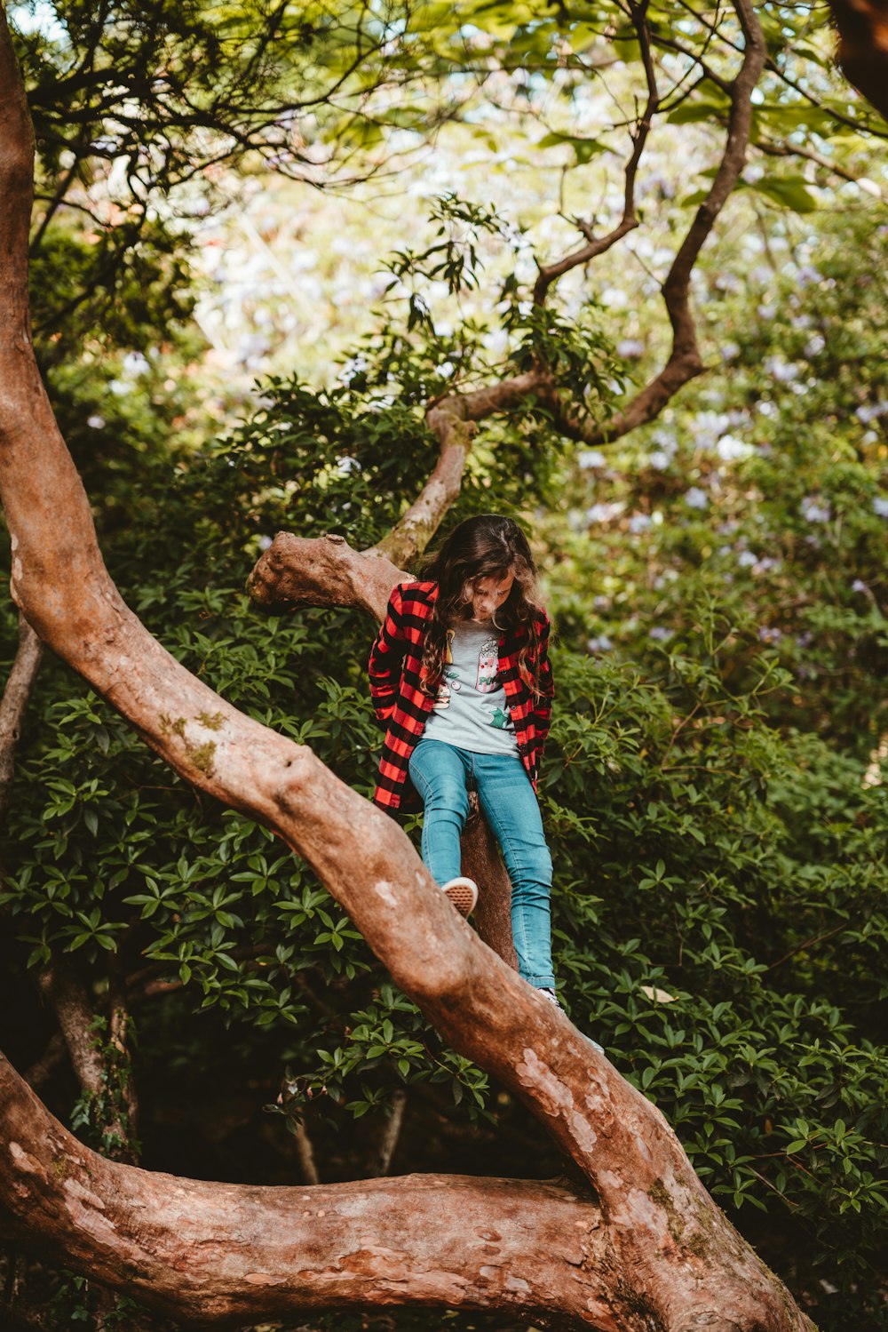 girl sitting on tree branch during daytime