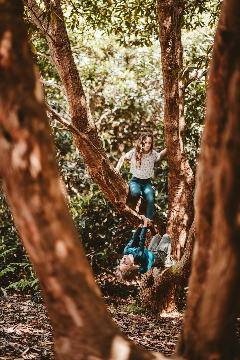menina e menino brincando na árvore na floresta