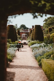 A well-maintained garden with a long path lined with trimmed hedges and flowering plants. There is a wheelbarrow on the path and a distant view of a red brick building or wall at the end of the garden area.