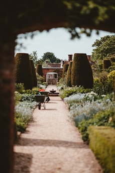 A well-maintained garden with a long path lined with trimmed hedges and flowering plants. There is a wheelbarrow on the path and a distant view of a red brick building or wall at the end of the garden area.