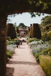 A well-maintained garden with a long path lined with trimmed hedges and flowering plants. There is a wheelbarrow on the path and a distant view of a red brick building or wall at the end of the garden area.