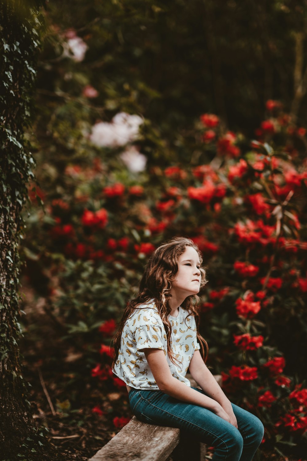 menina sentada no banco ao lado das flores vermelhas