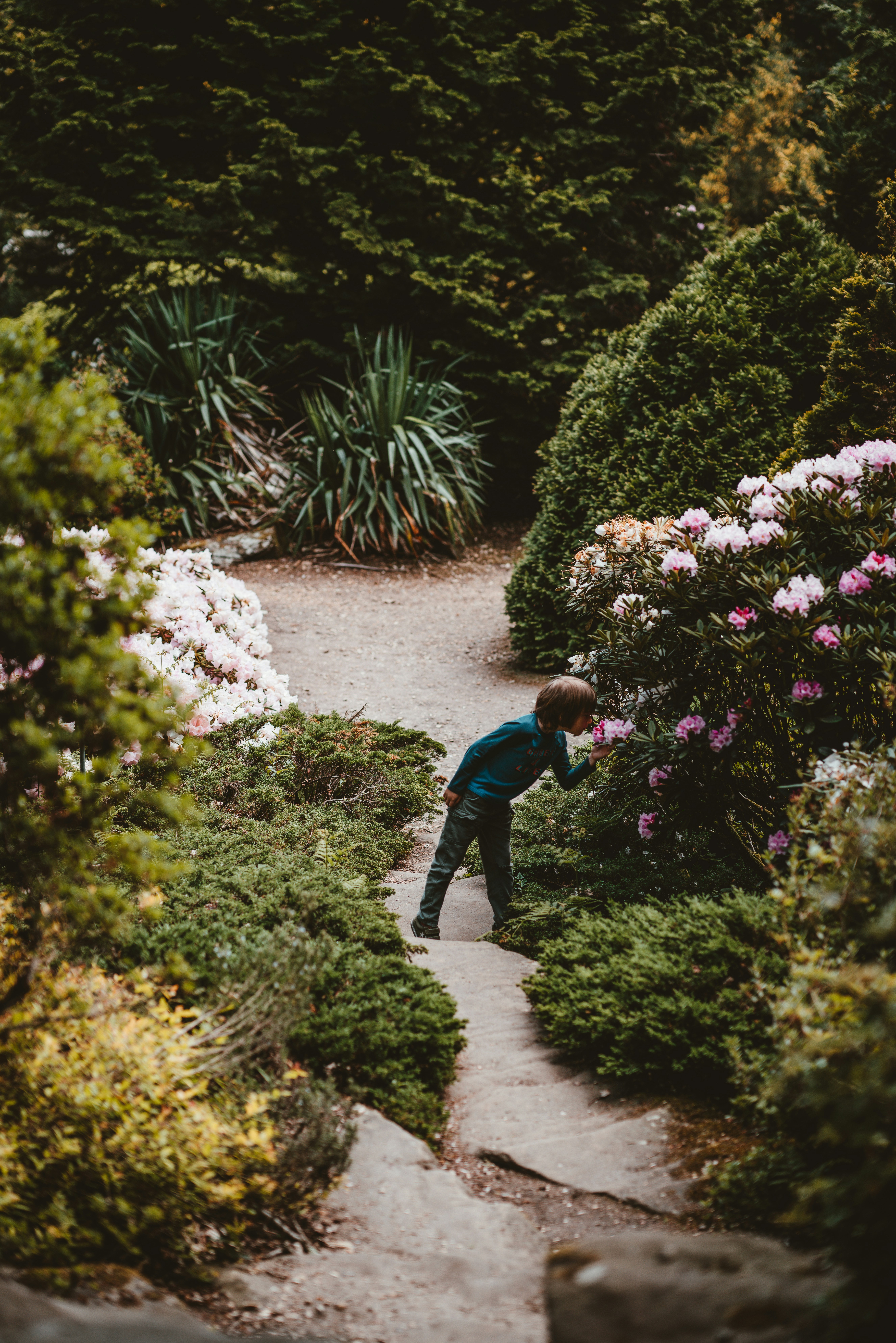 Photo by anniespratt