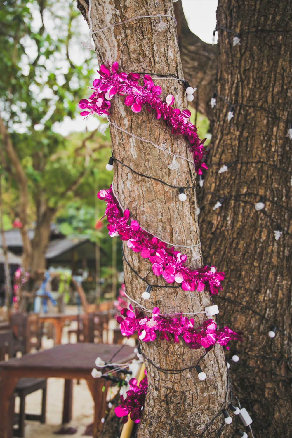 purple petaled flowers and mini string lights wrapped around tree trunk