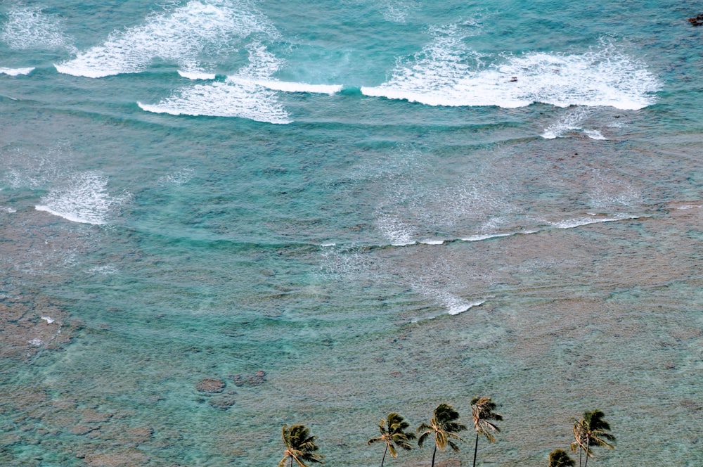 beach photo during daytime