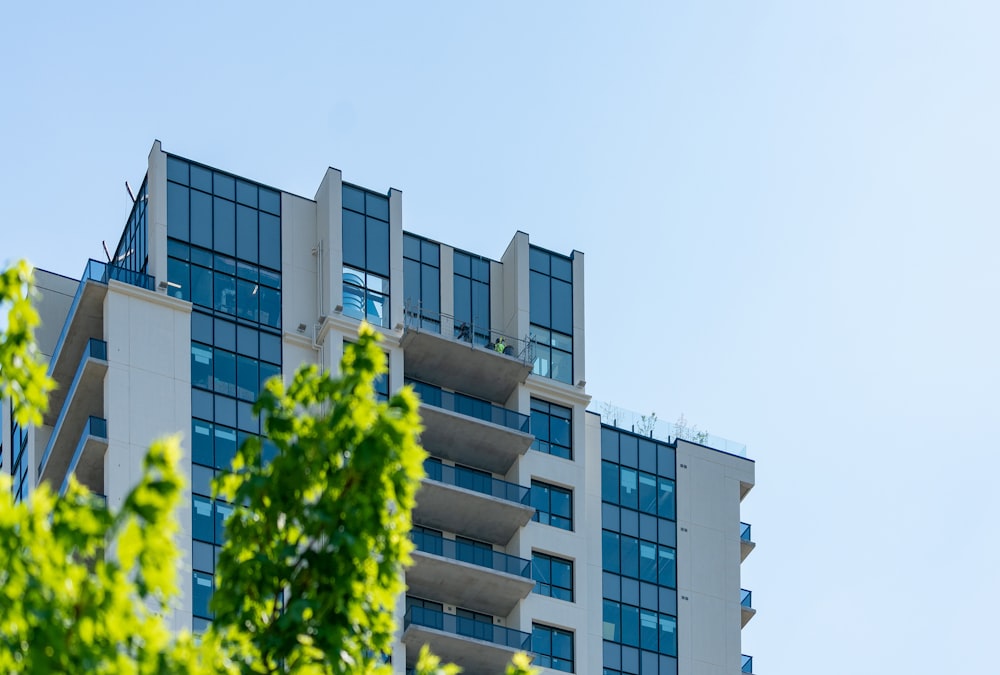 low-angle photo of glass building