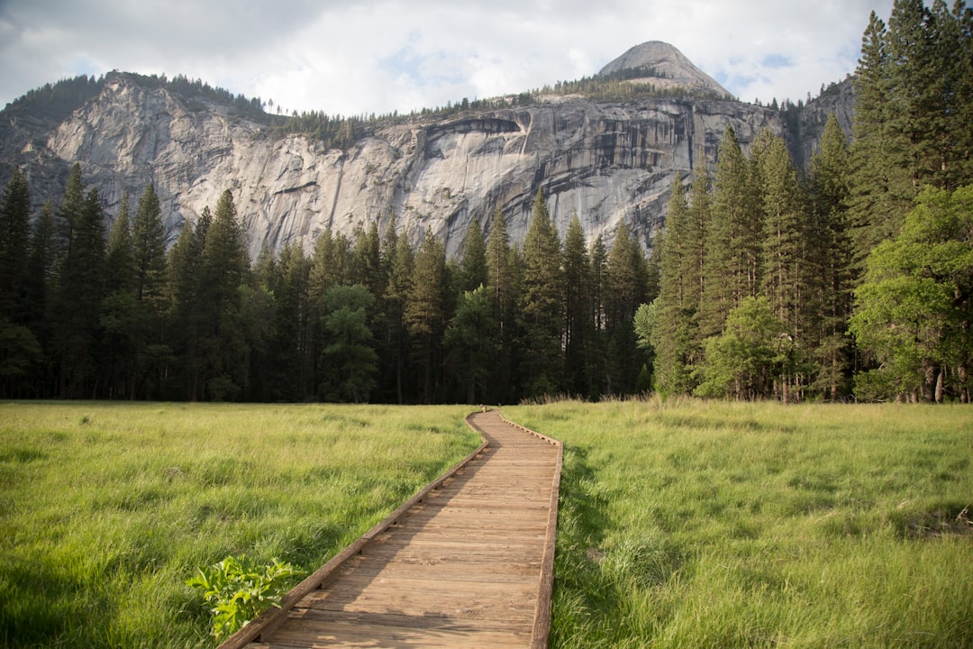 travelers stories about Nature reserve in Yosemite Valley, United States