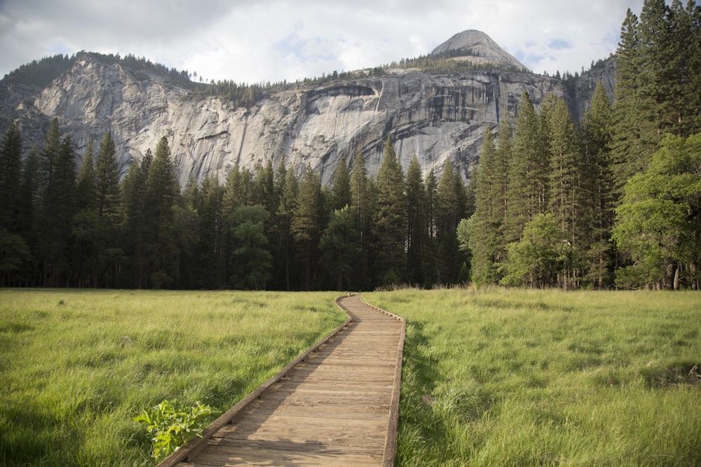 pathway between grass field near mountain