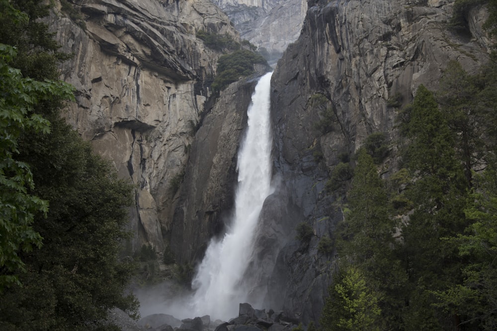 waterfalls surrounded with tree