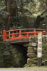 wooden bridge with signage surrounded by green leafed plant