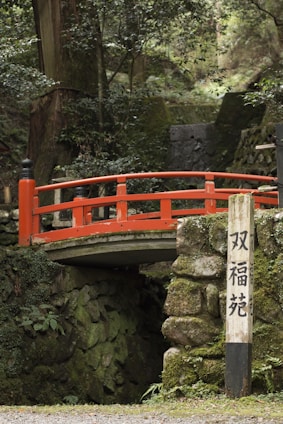 wooden bridge with signage surrounded by green leafed plant
