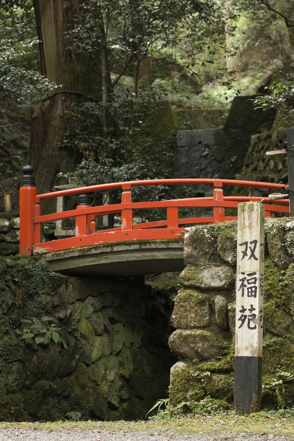 wooden bridge with signage surrounded by green leafed plant