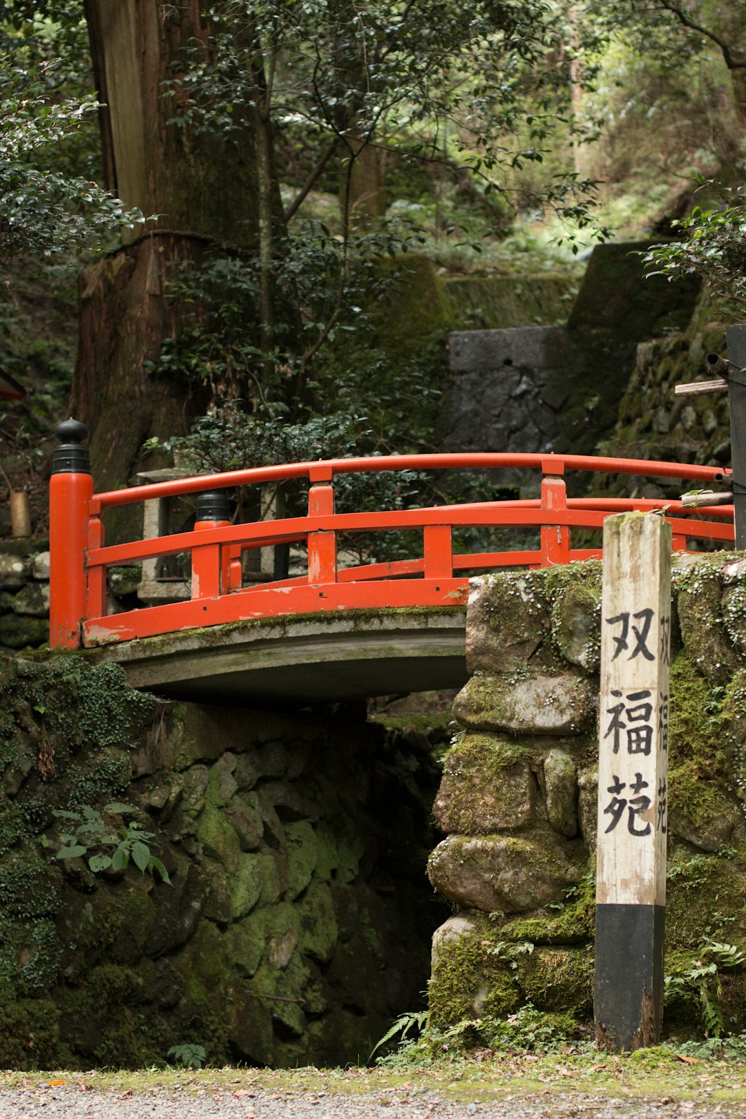 Temple photo spot Kuramakibunecho Ryōgen-in