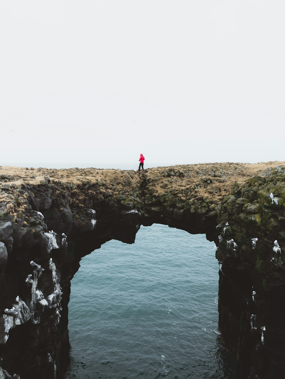 person wearing red pullover hoodie