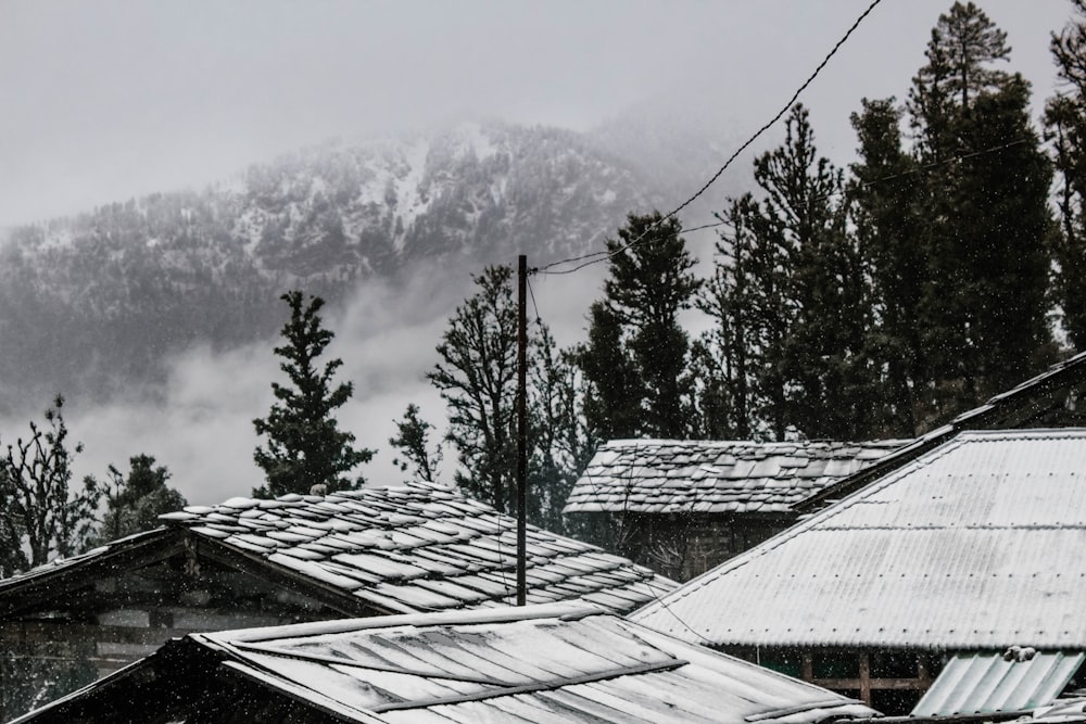 fotografia in scala di grigi di case vicino ad alberi e montagna in lontananza durante la nebbia