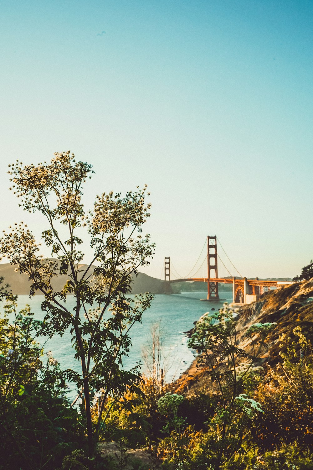 Golden Gate Bridge under blue sky