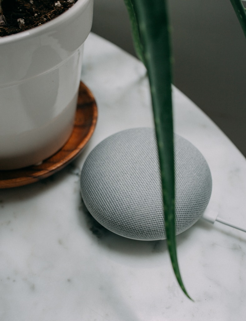 Smart Speaker