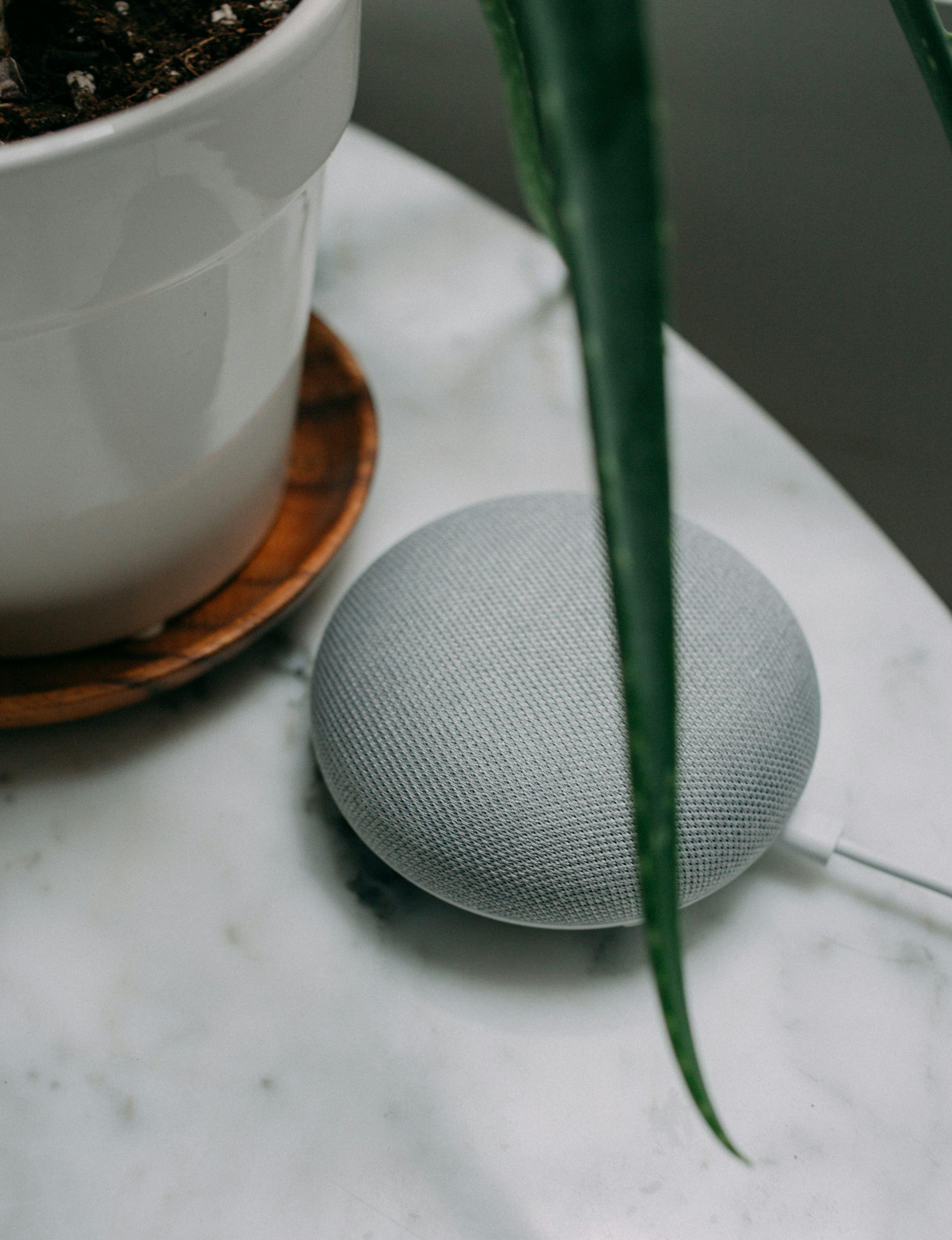 Love asking the Google home mini what the weather is. Always useful.